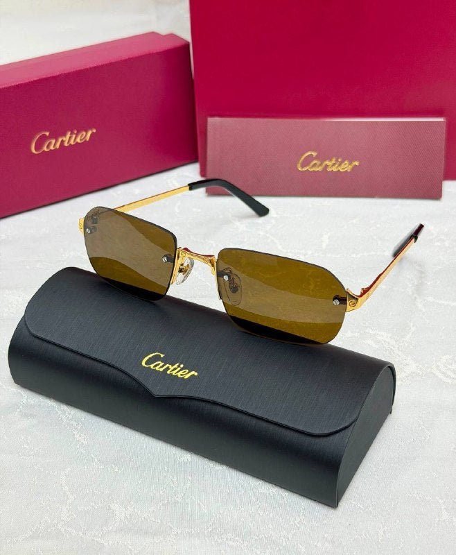*CARTIER*🕶️ *CT0505 S* *Super Master Quality*💯
