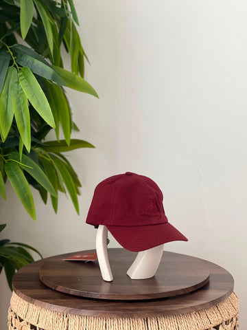 Loro piana Cap 🧢  Super Master quality