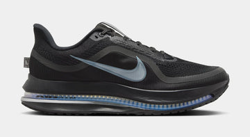 Nike Pegasus Premium Anthracite & Pure Platinum
