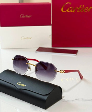 *CARTIER*🕶️ *CT0439* *Super Master Quality*💯