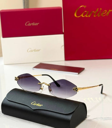 *CARTIER*🕶️ *CT0433S* *Super Master Quality*💯