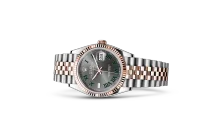 Rolex DATEJUST 36 Oyster, 36 mm, Oystersteel and Everose gold