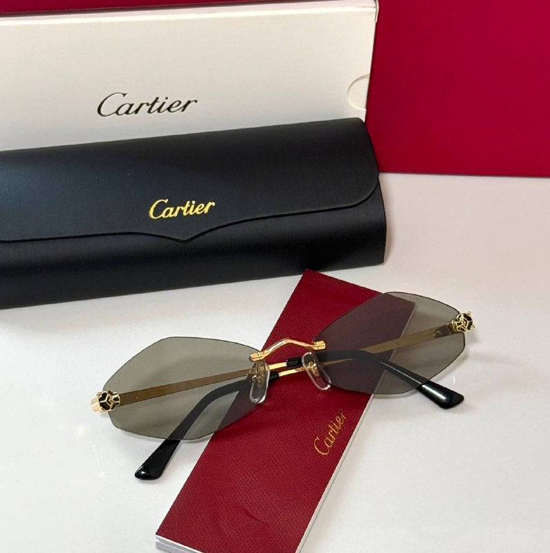 *CARTIER*🕶️ *CT0433S* *Super Master Quality*💯