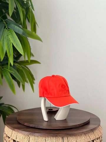 Loro piana Cap 🧢  Super Master quality