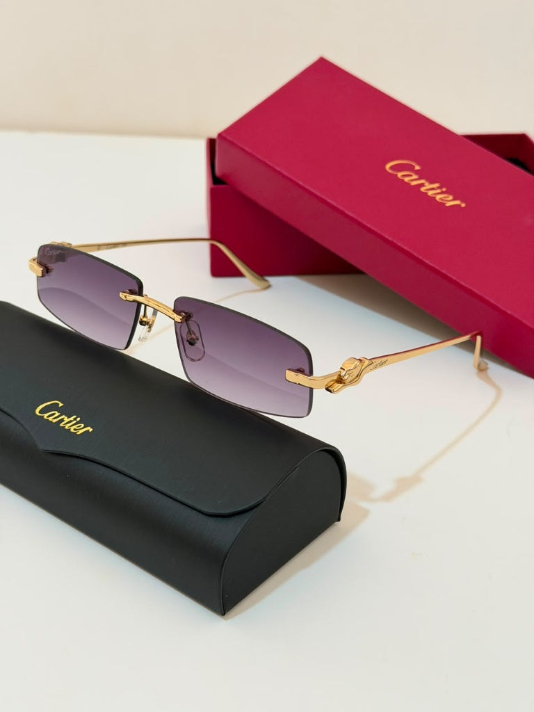Cartier sunglasses Super master quality