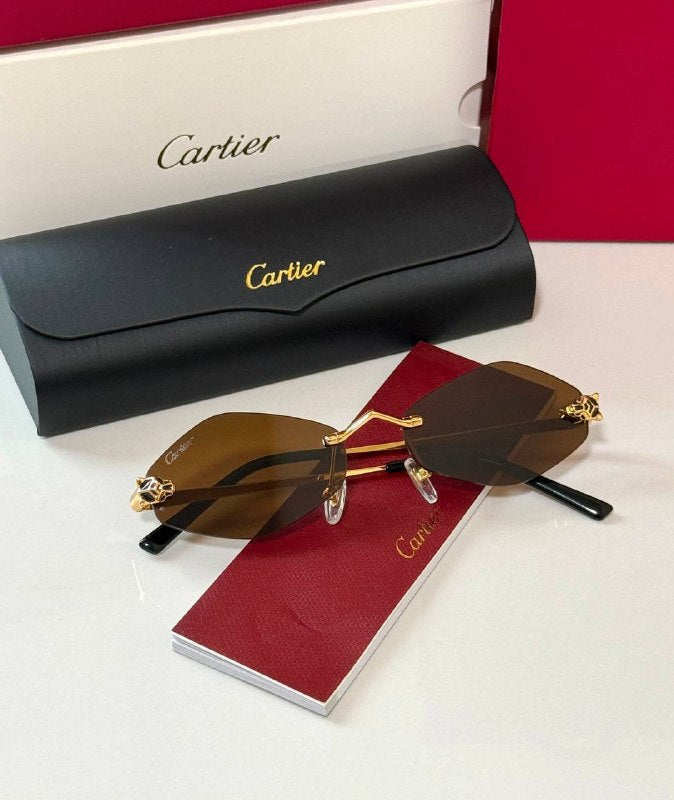 *CARTIER*🕶️ *CT0433S* *Super Master Quality*💯