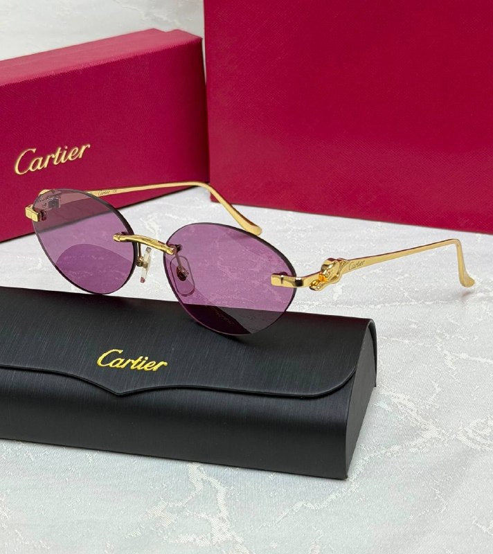 *CARTIER*🕶️ *CT0504s* *Super Master Quality*💯