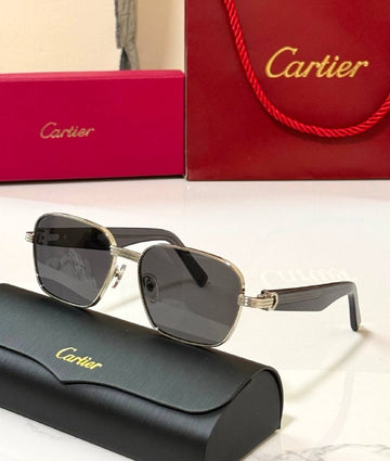 *CARTIER*🕶️ *CT0538S* *Super Master Quality*💯