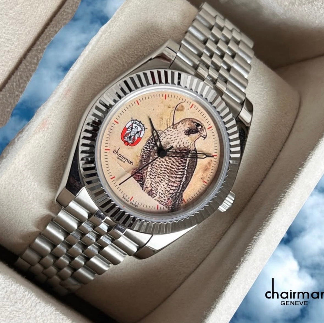 Falcon watch
