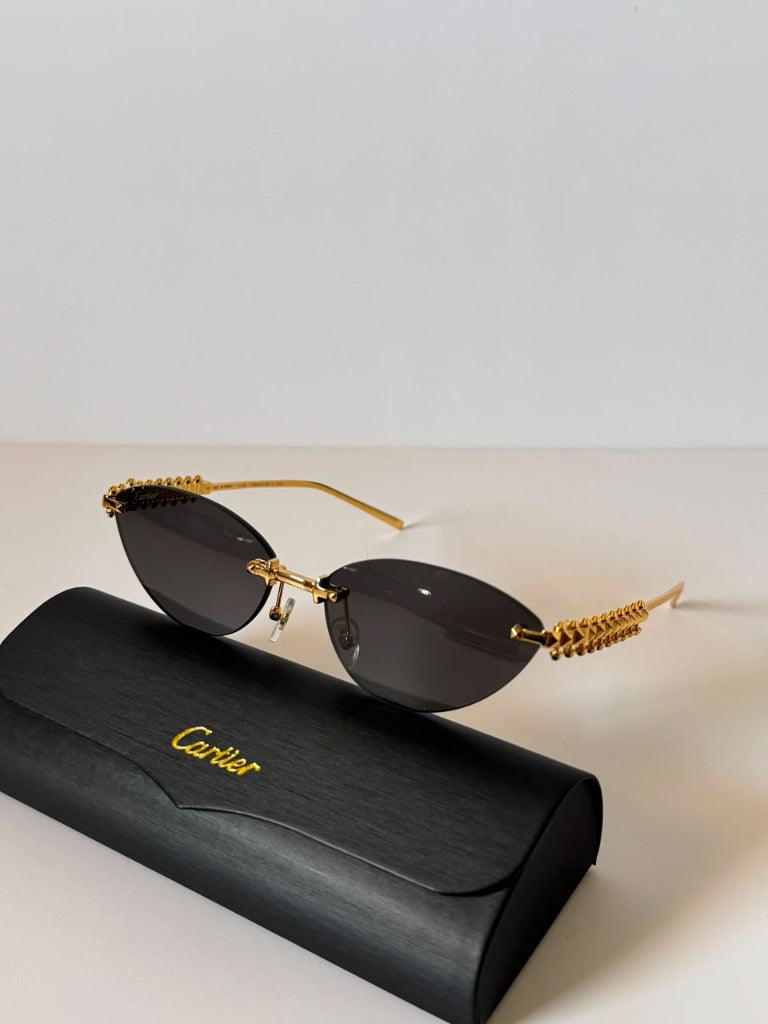 Cartier sunglasses Super master quality
