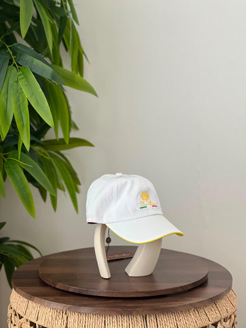 Loro piana Cap 🧢  Super Master quality