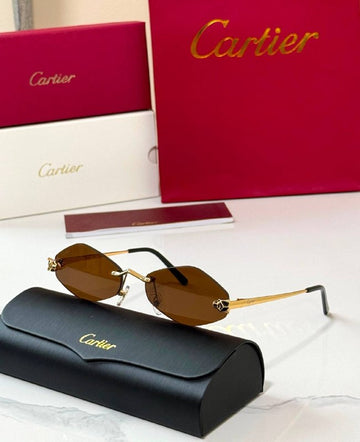 *CARTIER*🕶️ *CT0433S* *Super Master Quality*💯