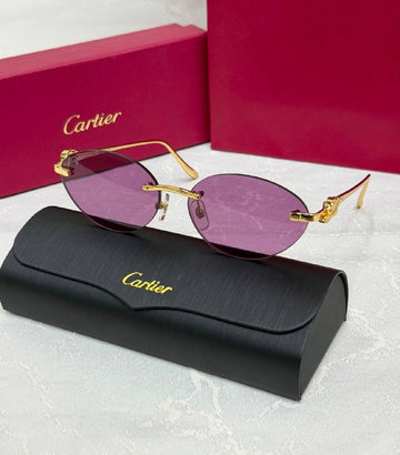 *CARTIER*🕶️ *CT0504s* *Super Master Quality*💯